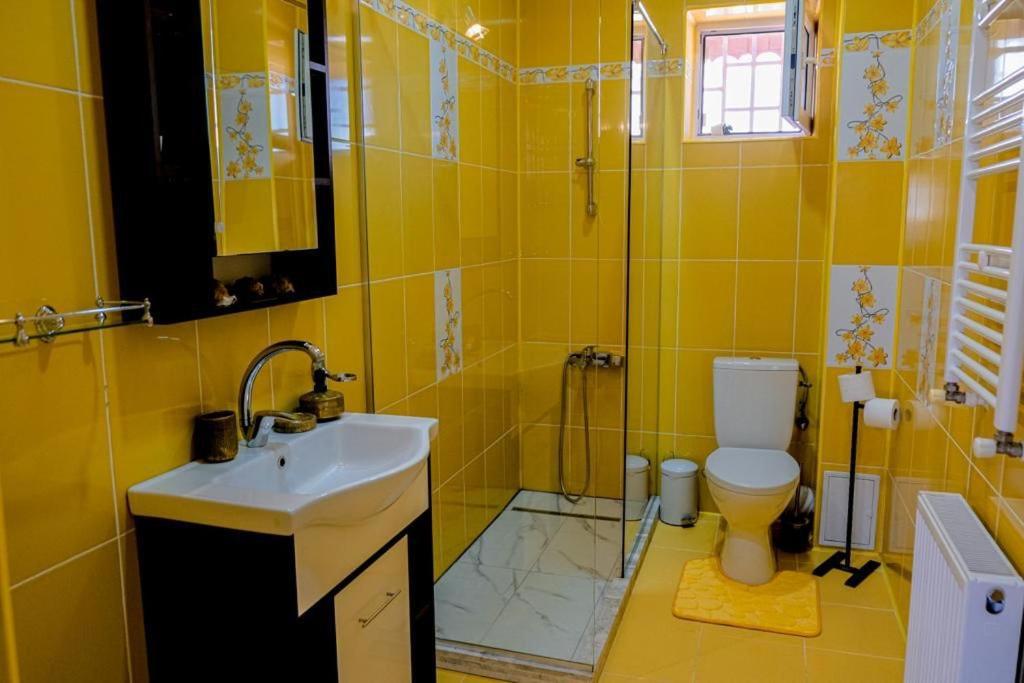 Vila Bucuria Corbu Corbu  Ngoại thất bức ảnh