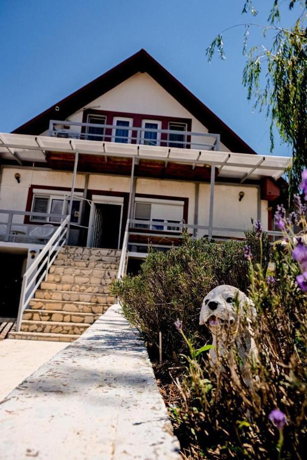 Vila Bucuria Corbu Corbu  Ngoại thất bức ảnh